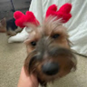 Meet your Posher, Brianna